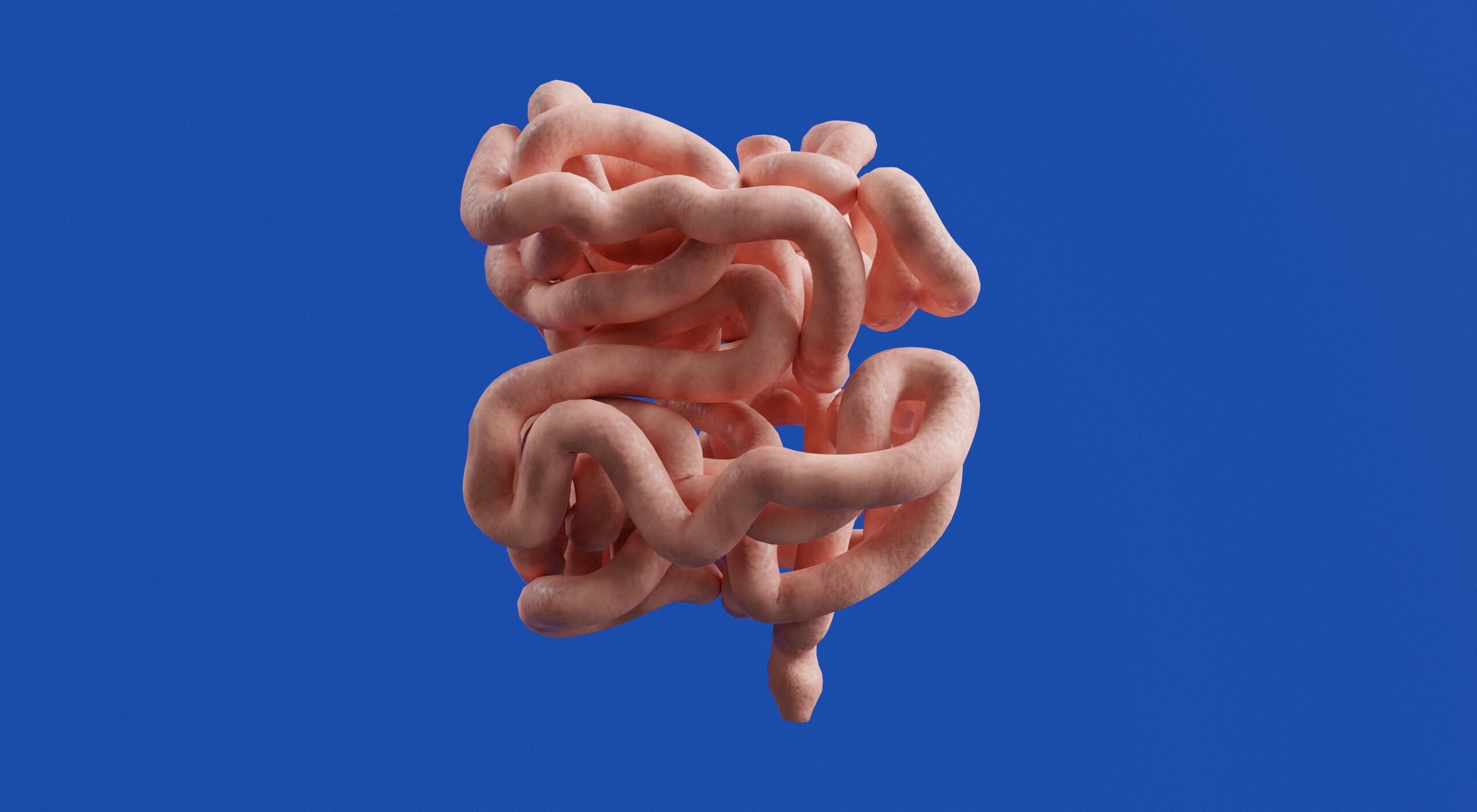Inflamación intestinal: causas, síntomas y cómo reducirla de forma natural