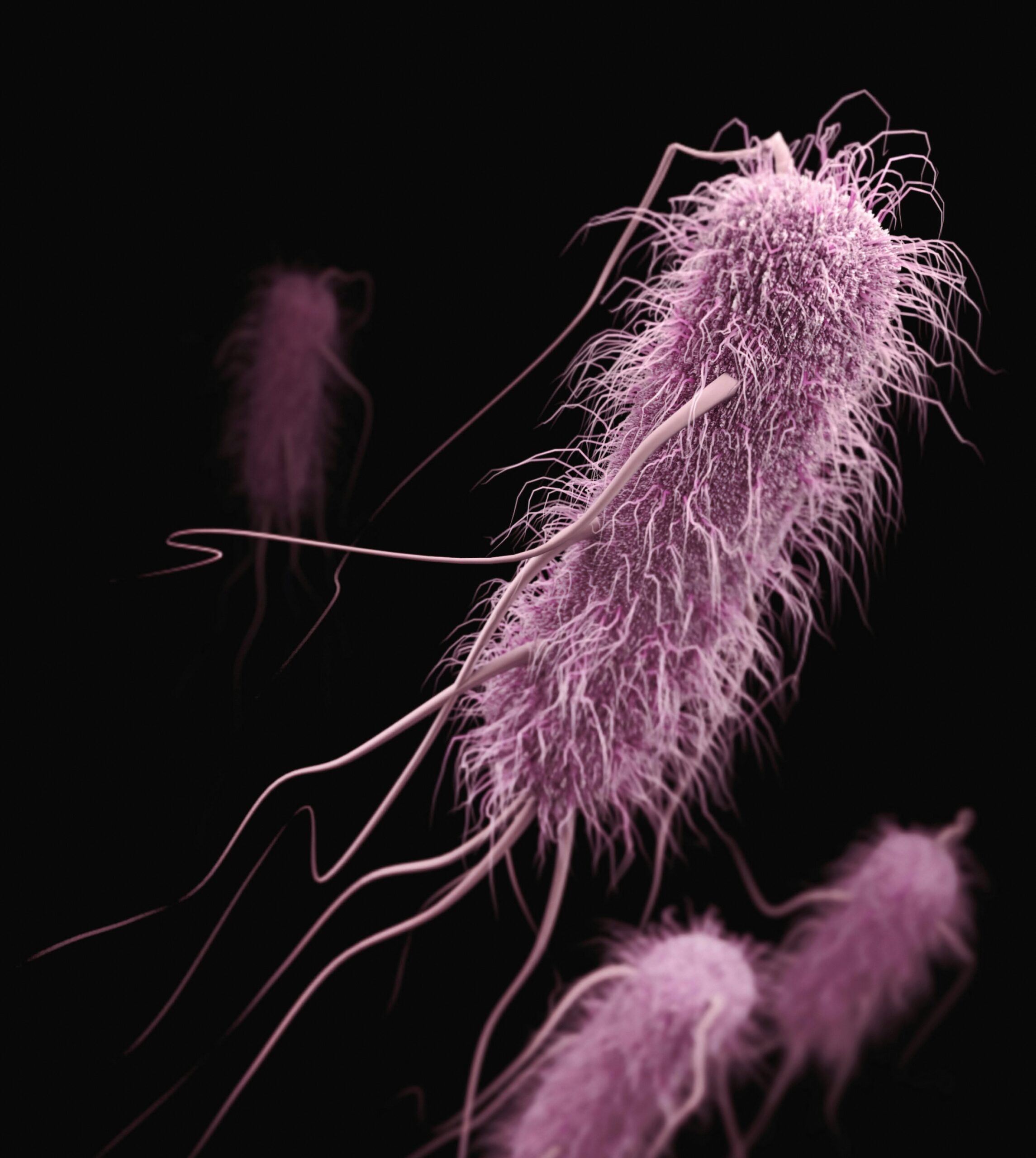 Microbioma intestinal: qué es, por qué importa y cómo cuidarlo
