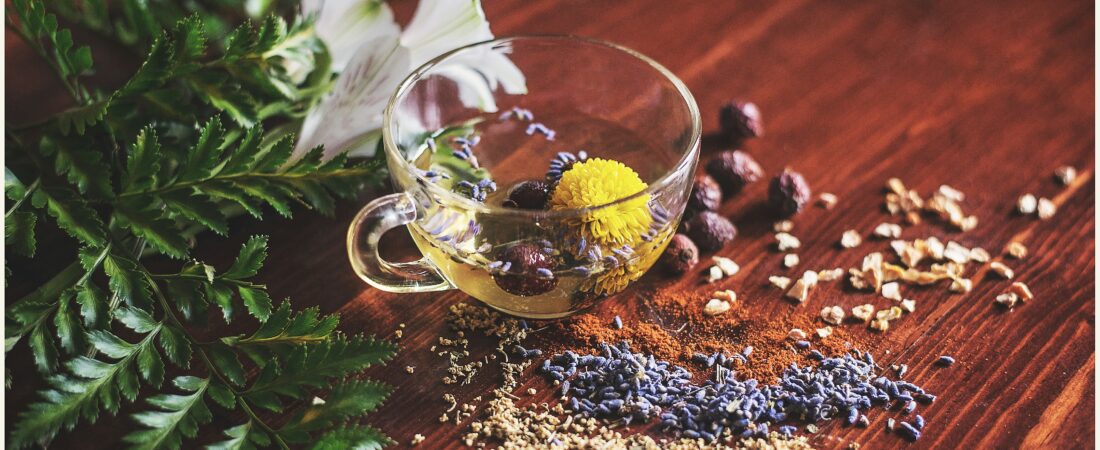 Tratamiento natural para el SIBO: estrategias que funcionan