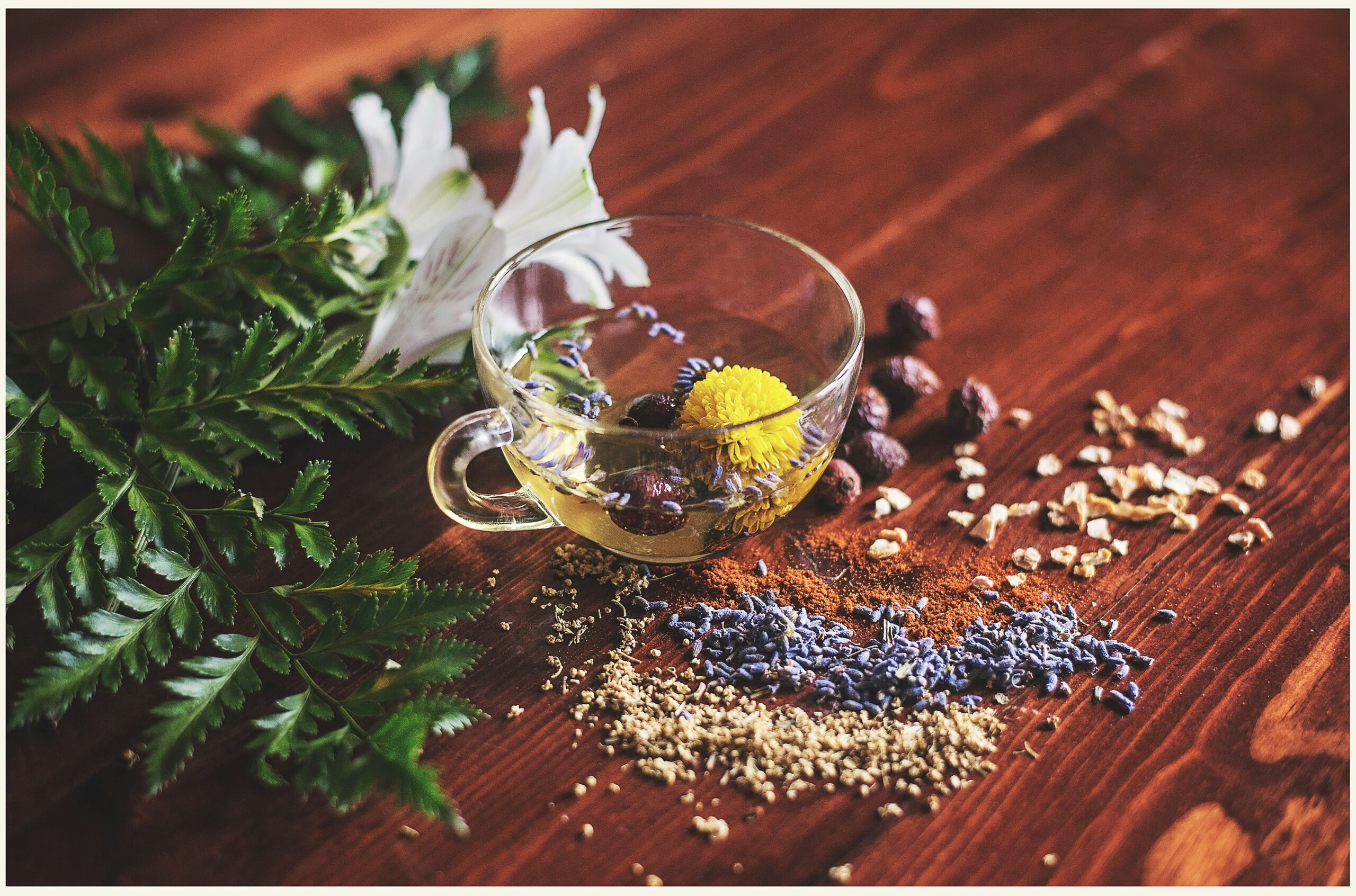 Tratamiento natural para el SIBO: estrategias que funcionan