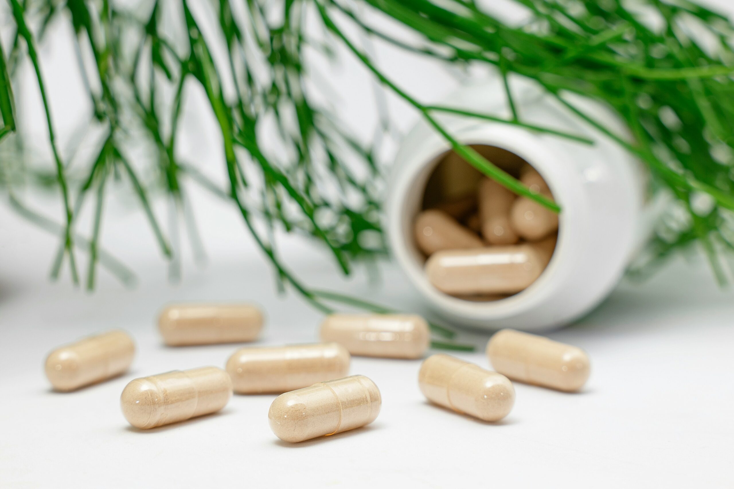 Suplementos para el SIBO: cuáles funcionan y cuáles evitar